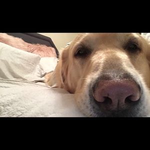 Meet your Posher, Taylor